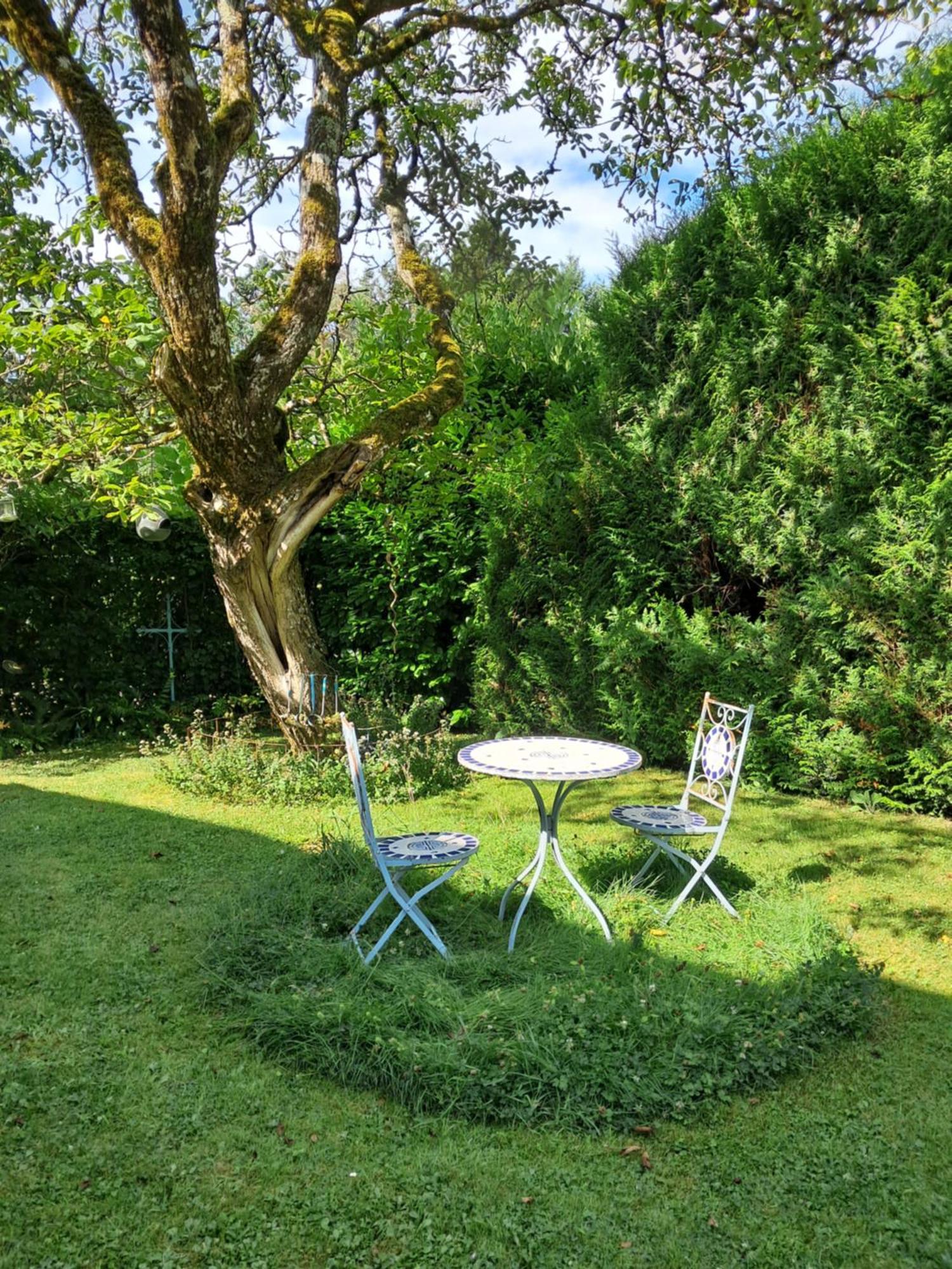 Le Buisson De La Gariole Bed and Breakfast Aubigny-sur-Nère Eksteriør billede